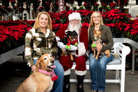 SantaPaws2025-0024