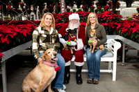 SantaPaws2025-0026