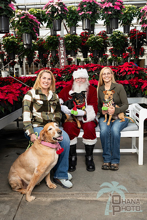 SantaPaws2025-0028
