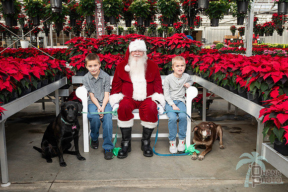SantaPaws2025-0043