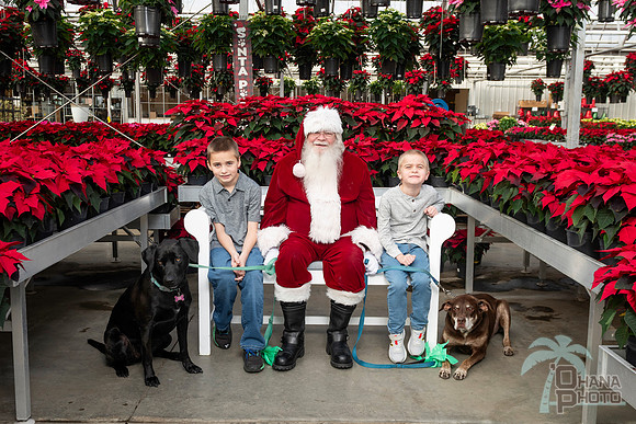 SantaPaws2025-0045