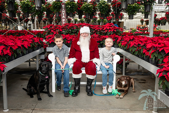 SantaPaws2025-0044