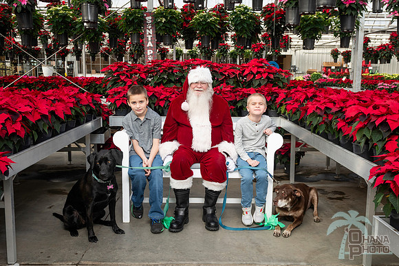 SantaPaws2025-0046
