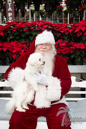 SantaPaws2025-0093