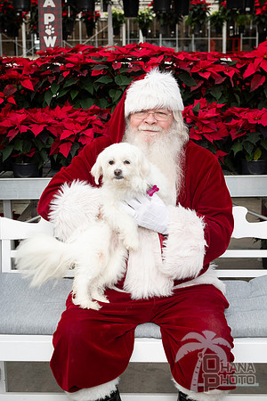 SantaPaws2025-0092