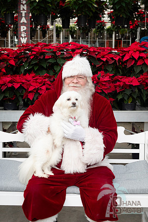 SantaPaws2025-0091