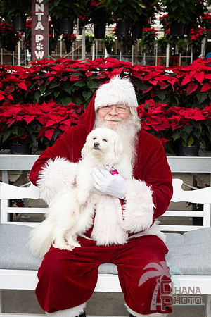SantaPaws2025-0090
