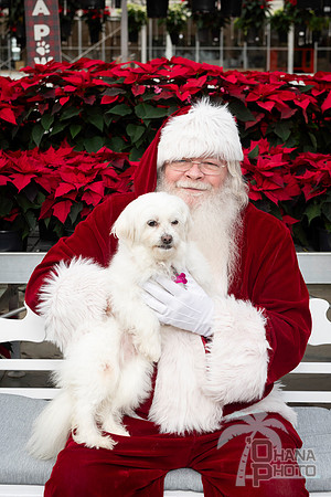 SantaPaws2025-0094