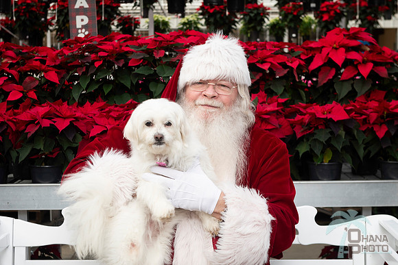 SantaPaws2025-0097