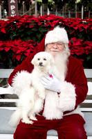 SantaPaws2025-0095