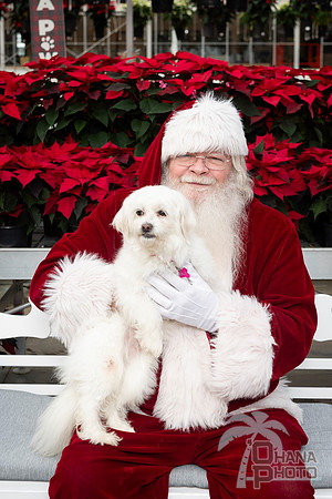 SantaPaws2025-0095