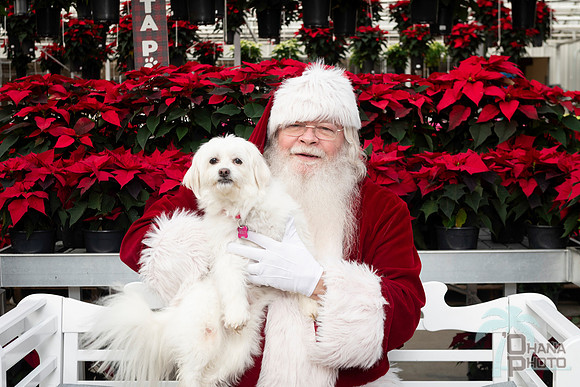SantaPaws2025-0098