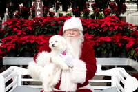 SantaPaws2025-0096