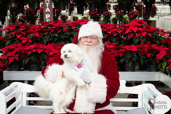 SantaPaws2025-0096