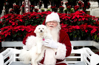 SantaPaws2025-0099