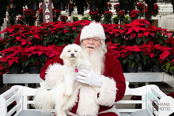 SantaPaws2025-0099