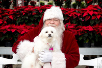 SantaPaws2025-0100