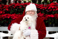 SantaPaws2025-0101