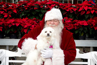 SantaPaws2025-0102