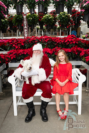 SantaPaws2025-0131