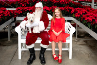 SantaPaws2025-0130