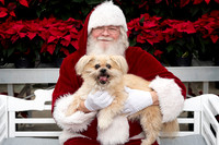 SantaPaws2025-0280