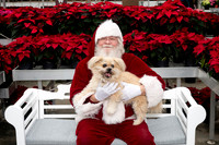 SantaPaws2025-0277