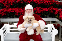 SantaPaws2025-0278