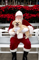 SantaPaws2025-0284