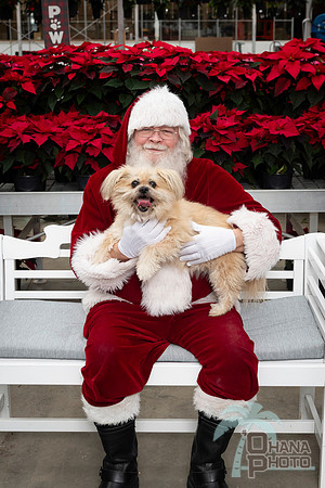 SantaPaws2025-0284