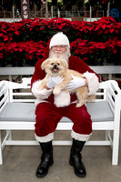 SantaPaws2025-0285