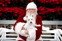 SantaPaws2025-0288
