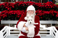 SantaPaws2025-0289