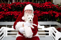 SantaPaws2025-0287