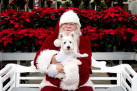 SantaPaws2025-0290
