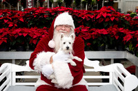 SantaPaws2025-0286