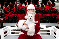 SantaPaws2025-0291
