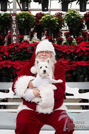 SantaPaws2025-0292