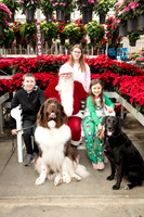 SantaPaws2025-0295