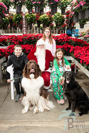 SantaPaws2025-0295