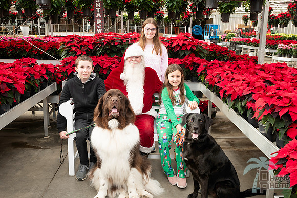 SantaPaws2025-0299