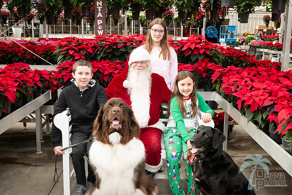 SantaPaws2025-0301