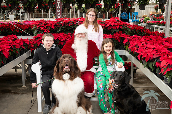SantaPaws2025-0302