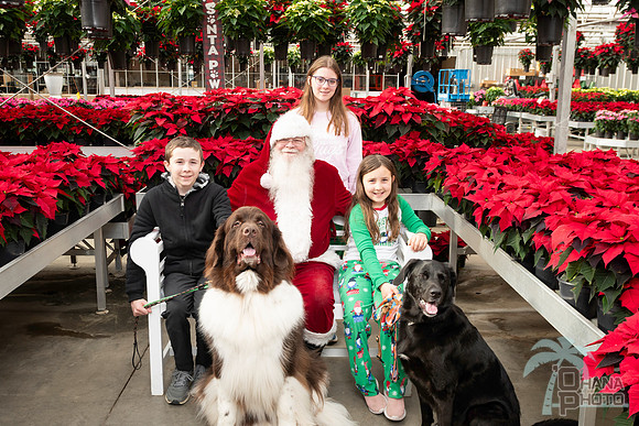 SantaPaws2025-0300