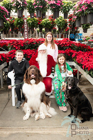 SantaPaws2025-0298
