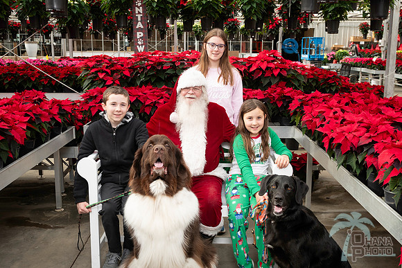 SantaPaws2025-0303