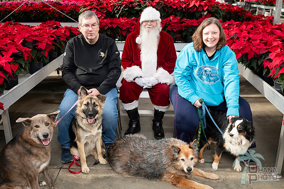 SantaPaws2025-0399