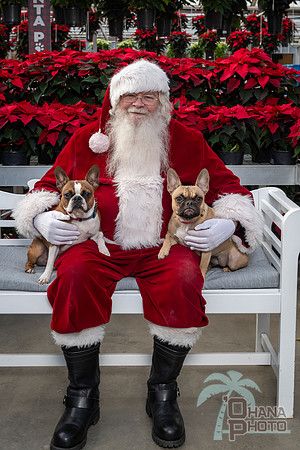 SantaPaws2025-0513