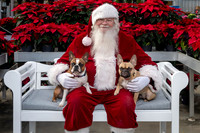 SantaPaws2025-0511