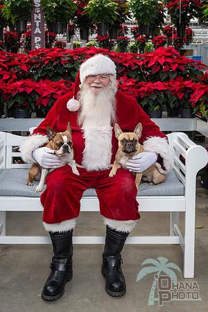 SantaPaws2025-0514